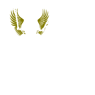 Toeter13's emblem