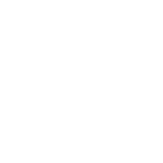1iNTOX's emblem
