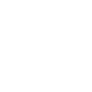 Aries4Race's emblem