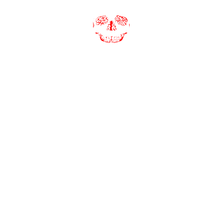-UN-'s emblem