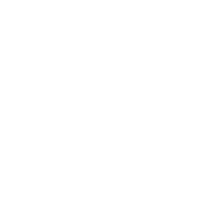 Indomptable13's emblem