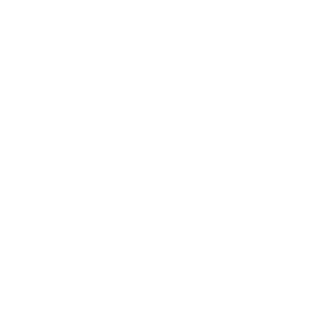 fireskull28's emblem