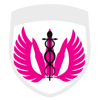PROJECT4PHANTOM's emblem