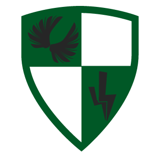 Pheanix10's emblem