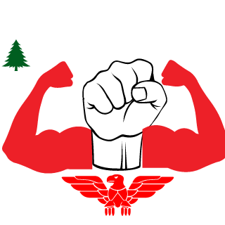 FlorinBiceps's emblem