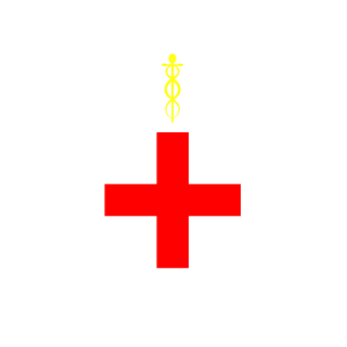 Nesme143's emblem