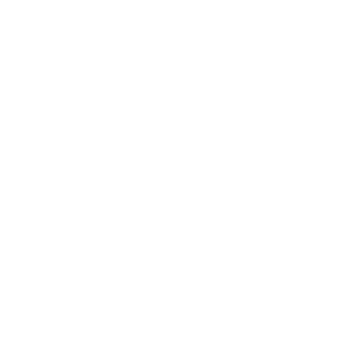 100lecorigin's emblem