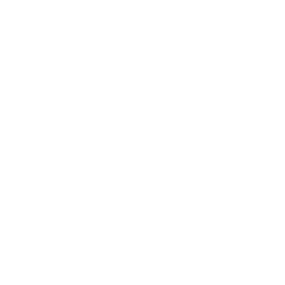 NheoxRs's emblem