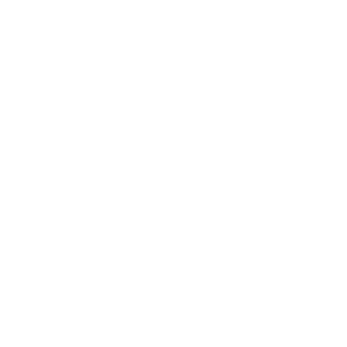 a-_-v-_-i_'s emblem