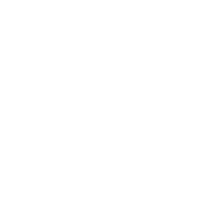 BLAZINGANGLEZ2's emblem