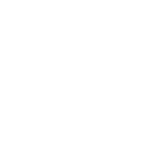 Langhorne89's emblem