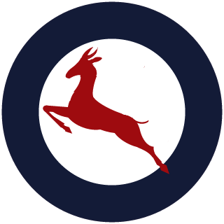 South Africa Air Force's emblem