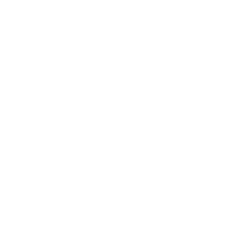 753abbd26d61941c's emblem