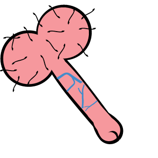 iHateThisMap1's emblem