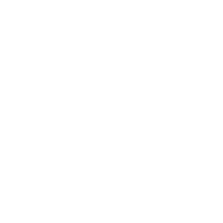 Choinis's emblem