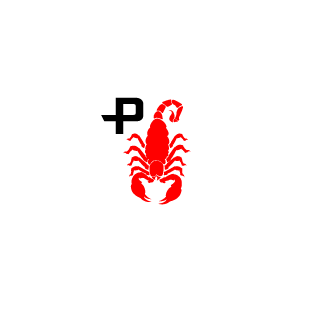 6pa43xn's emblem