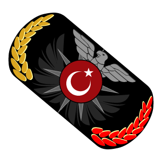 19ultrAslan86's emblem