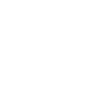patronsafronov's emblem