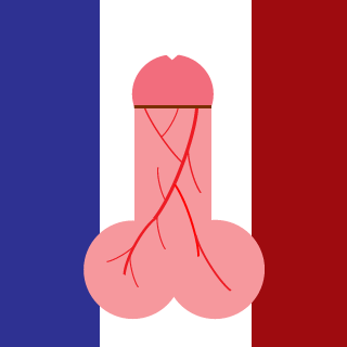 SillyMonkeyyyy's emblem