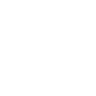 ShredderDude74's emblem