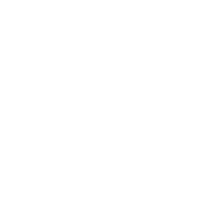 prashnet4723's emblem