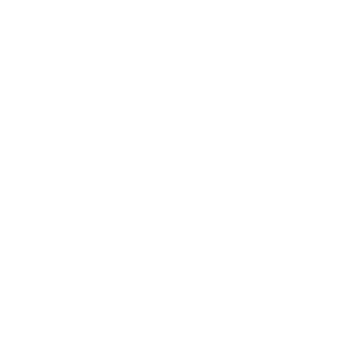 basharcv3's emblem