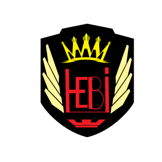 hebii69's emblem