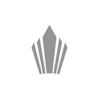 Destruction__v's emblem