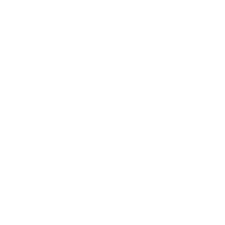 larsbetteskid's emblem