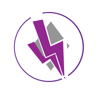 1217raiden's emblem