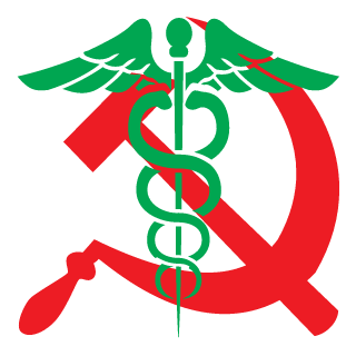 Nindsya_80_NSK's emblem