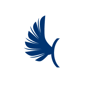 Anokhs's emblem