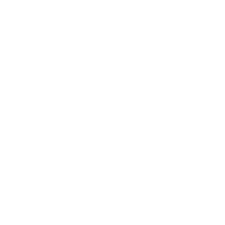 Satermonx20's emblem