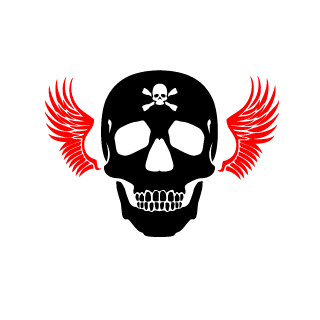 hamzachaudhry21's emblem