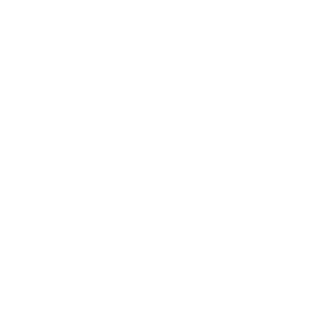 Nurs3's emblem