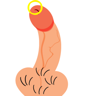Shuungha's emblem
