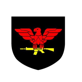 P4n1c17's emblem