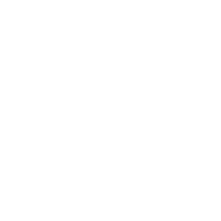 DH1TE's emblem