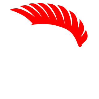CrAcKeDsCr33n's emblem