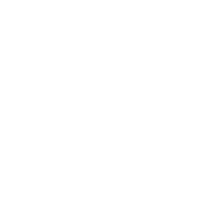 815magikarp's emblem