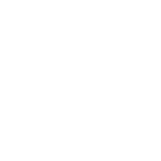 Carrillo911's emblem