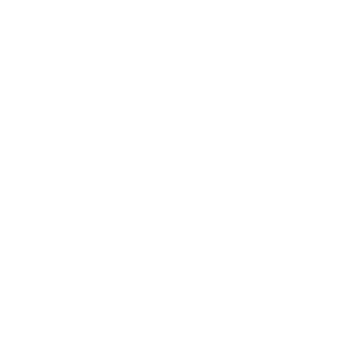 nikolai2233's emblem
