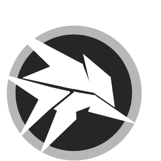 Rplus08's emblem