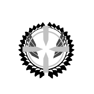_V14D1M1R_91_'s emblem