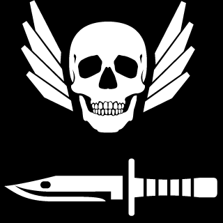 DCTR_PAiN's emblem