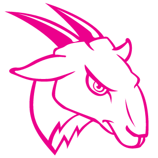 w0mpy's emblem