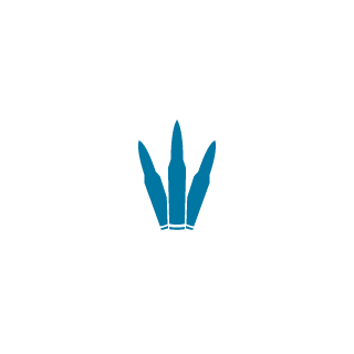 FURTIV_ESP's emblem