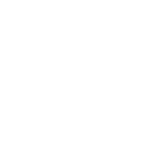 OnlyACER's emblem