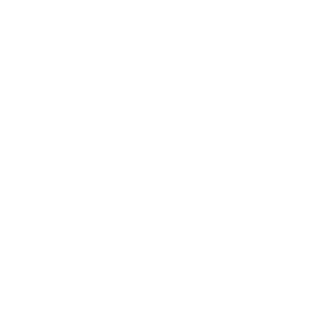 salushonzz's emblem