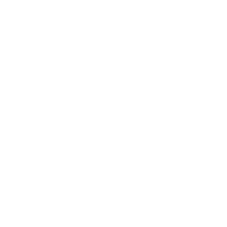Zani_01's emblem